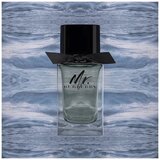 Burberry Mr. Burberry edt 50ml