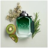 Coach Green edt 60ml (Outlet / Demo)