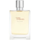 Hermès Terre D'Hermes Eau Givree edp 100ml