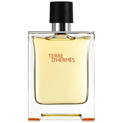 Hermès Terre D'Hermes edt 100ml