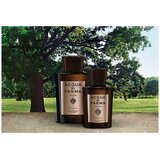 Acqua Di Parma Colonia Quercia edc 100ml