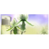 Clinique Calyx edp 50ml