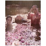 Gucci Bloom Acqua Di Fiori edt 50ml