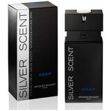 Jacques Bogart Silver Scent Deep edt 100ml