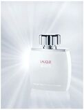 Lalique White Pour Homme edt 125ml