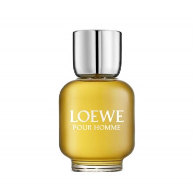 Loewe Fashion Pour Homme edt 100ml