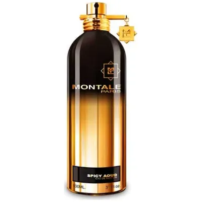 Montale Paris Spicy Aoud edp 100ml