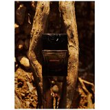 Sora Dora Broceliande Parfymeekstrakt 50ml