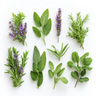 Aromatiske noter