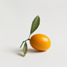Kumquat