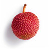 Litchi
