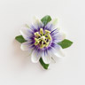Pasjonsblomst