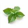 Patchouli (Grønn)