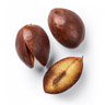 Zapodilla