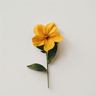 Veggblomst